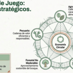 San Martín impulsa la innovación con S/ 2,7 millones para emprendimientos sostenibles