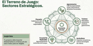 San Martín impulsa la innovación con S/ 2,7 millones para emprendimientos sostenibles