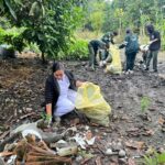 Eliminan más de 9 toneladas de criaderos del dengue en Rioja