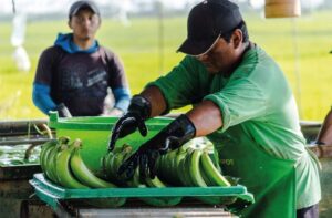 Desde el 15 de abril, siete regiones inician postulaciones para concursos de innovación con fondos de S/18.9 millones