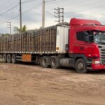 Yurimaguas: Incautan más de 37 mil pies de madera ilegal en operativo conjunto