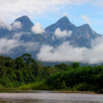 Cordillera Azul, 25 años latiendo por el Perú: agua, bosques y futuro frente a la amenaza ambiental