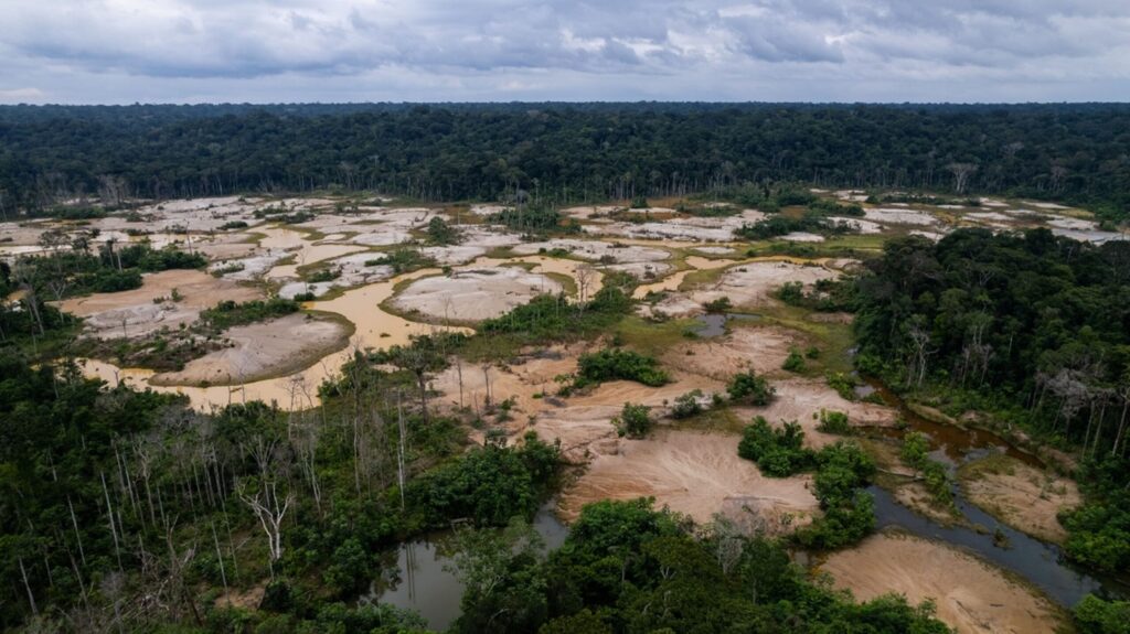 AMAZONÍA: EL PODER ESTRATÉGICO QUE EL PERÚ SIGUE IGNORANDO