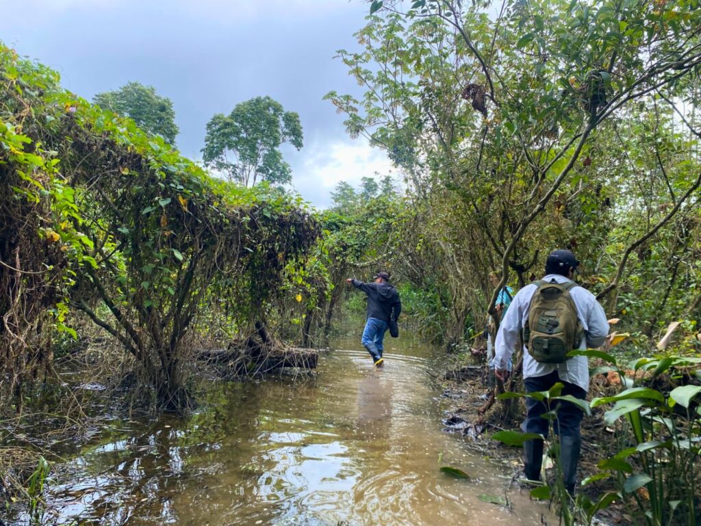 IIAP identifica al camu-camu del Putumayo como reserva genética única en la Amazonía peruana