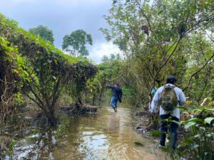 IIAP identifica al camu-camu del Putumayo como reserva genética única en la Amazonía peruana