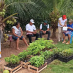 IIAP entrega semillas y plantones a productores de Santa Cruz en El Dorado