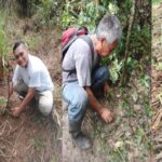 Jornada histórica de reforestación unirá a instituciones y ciudadanía para proteger bosques y fuentes de agua