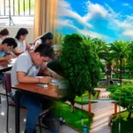Congreso aprueba creación de la Universidad Nacional Alto Huallaga en Tocache