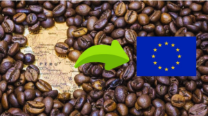 Perú y la Unión Europea fortalecen alianza para proteger los bosques y asegurar el futuro de las exportaciones agrícolas