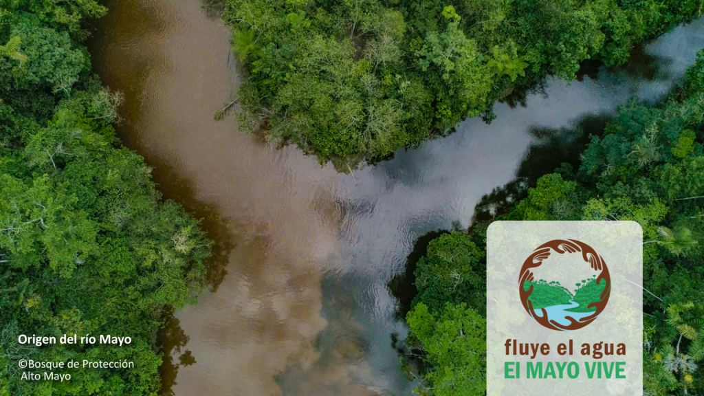 “Fluye el Agua. El Mayo Vive”