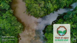 “Fluye el Agua. El Mayo Vive”