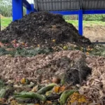 San Martín convierte residuos en riqueza: La bioinnovación que impulsa una nueva agroindustria sostenible