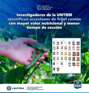 Investigación de la UNTRM identifica variedades de frijol con mayor valor nutricional y menor tiempo de cocción