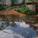 Denuncian vertimiento de aguas residuales del Camal Municipal de Moyobamba: Urge contener foco infeccioso