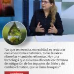 Bosques: La mejor defensa de San Martín frente al cambio climático