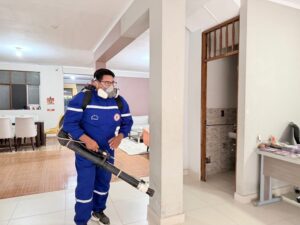 Más de 8 mil viviendas fueron fumigadas para frenar el avance del dengue en Moyobamba