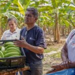 San Martín en alerta: Un Niño muy fuerte pone en riesgo la agricultura familiar y el abastecimiento de alimentos