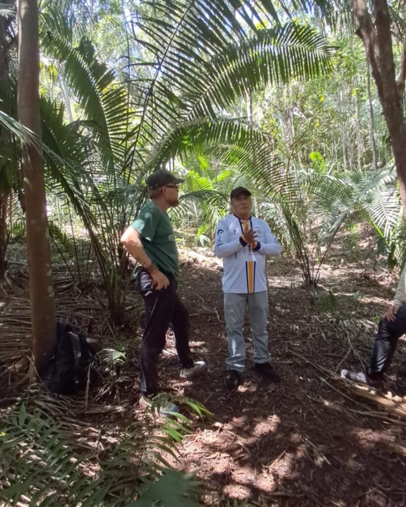 El bosque que alimenta: el mercado de 18 hectáreas del “Ermitaño del Chumbaquihui”