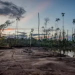 Incendios forestales en San Martín: prevenir para no convertir la Amazonía en una ruina