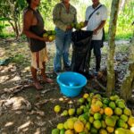 IIAP apuesta por transformar excedentes de frutas amazónicas y reducir en un 20 % la pérdida de alimentos