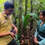 Tecnología e innovación inmersiva acercan la ciencia y la conservación de la Amazonía al público