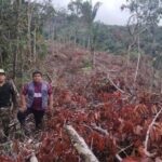 Bosque de Protección Alto Mayo: Diez años después, la amenaza sigue echando raíces