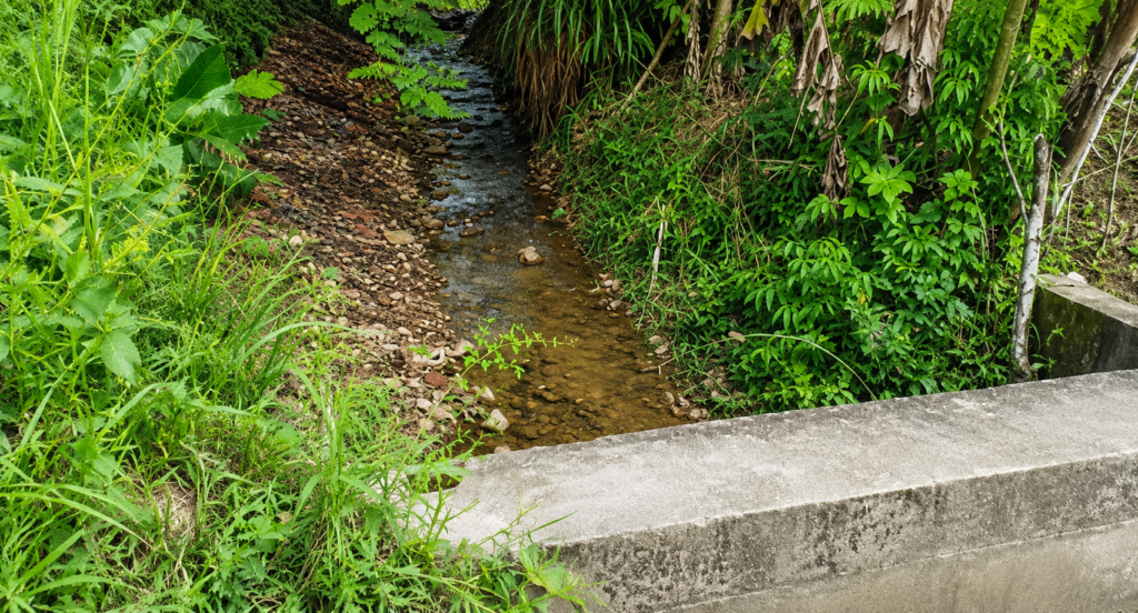 Invierno se acerca: Preocupación y falta de respuesta en Uchiza ante amenaza del río Pucarrumi