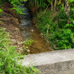 Invierno se acerca: Preocupación y falta de respuesta en Uchiza ante amenaza del río Pucarrumi