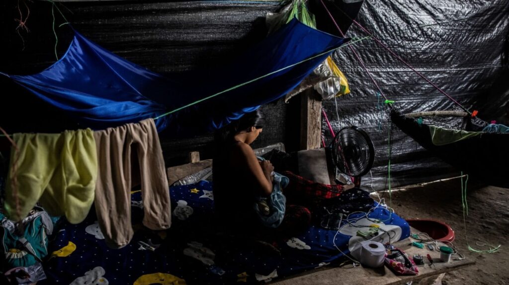 Mercurio en la sangre: La huella tóxica en niños y gestantes de Madre de Dios en Perú