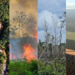 Colegio de Ingenieros alerta sobre impacto del Fenómeno El Niño en San Martín y plantea plan de acción