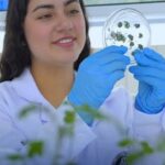 UNTRM de Chachapoyas pone al Perú ante el desafío de la edición genética para la agricultura