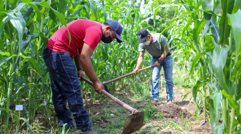 Cumbre mundial clave sobre desertificación: Latinoamérica llega a la COP17 entre sequías, El Niño y presión por producir alimentos
