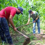 Cumbre mundial clave sobre desertificación: Latinoamérica llega a la COP17 entre sequías, El Niño y presión por producir alimentos
