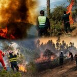 El fuego vuelve a amenazar San Martín: El Niño Costero pone a prueba la prevención y la capacidad de respuesta