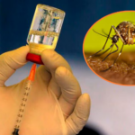 La prevención salva vidas: San Martín enfrenta al dengue con más de 7.000 casos y 15 muertes