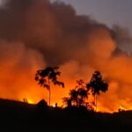 Incendio Forestal en el Kilómetro 21 de la Carretera Yurimaguas–Tarapoto Fue Controlado