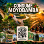 “Consume Moyobamba”: Plataforma digital busca transformar la experiencia del turista en el Alto Mayo
