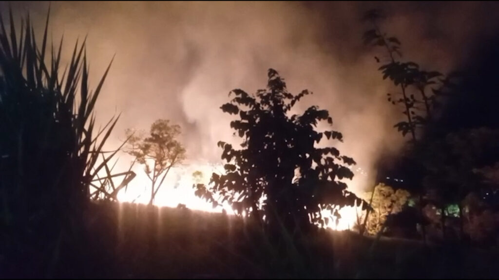 Falso rumor sobre mordedura de serpientes movilizó a equipos de emergencia durante incendios forestales