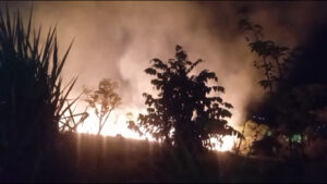 Falso rumor sobre mordedura de serpientes movilizó a equipos de emergencia durante incendios forestales