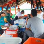 Diversidad de nuestra amazonia: Descubren el primer caso de leucismo (anomalía genética) en un pez del río Ucayali