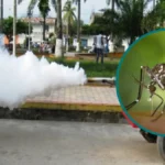 San Martín frente al dengue: Conoce el detalle provincia por provincia y las cifras clave de la región