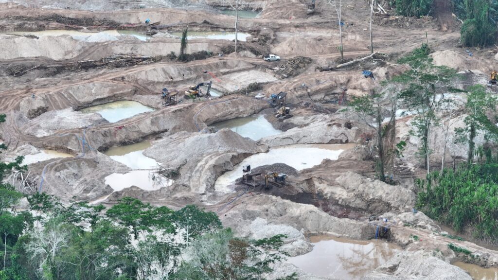 Devastación impune en la cuna de la ciencia: Minería ilegal acorrala al Área de Conservación Panguana
