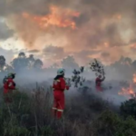 En San Martín: La naturaleza bajo el fuego provocado y el descuido legal: El 98% de los incendios forestales son provocados.
