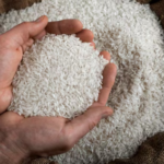 El arroz y la amenaza climática que pone en riesgo la alimentación peruana