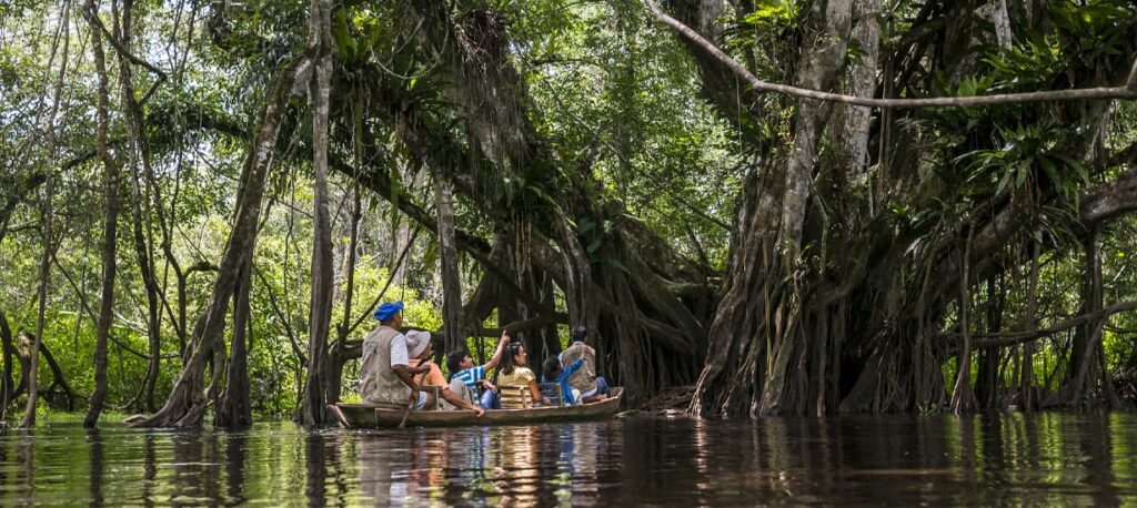 La voz de la infancia: “Proteger la selva no es frenar el desarrollo, es garantizar que la vida del planeta.”