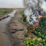 San Martín no es una “moda”: El peligro de politizar la pérdida de nuestros bosques
