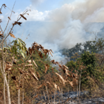 En San Martín: El calor ahoga, la tierra arde y la salud de los más débiles en peligro