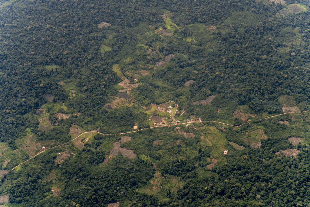 Deforestación en la Amazonía peruana: el resultado de decisiones, no del azar
