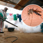 San Martín registra la mayor cantidad de defunciones por dengue del país