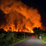 Incendios forestales arrasan 20 hectáreas de vegetación en Lamas y Aucaloma